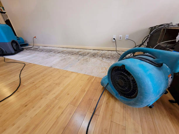 Professional Water Damage Repair technician working in Monterey Park, CA
